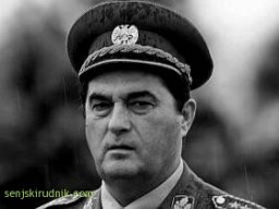 Небојша Павковић